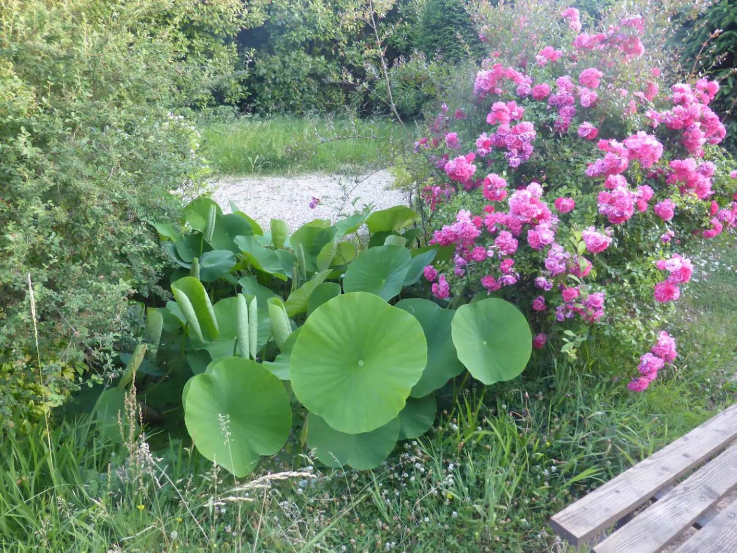 Charmante maison avec piscine Le Mas-dʼAgenais Extérieur photo
